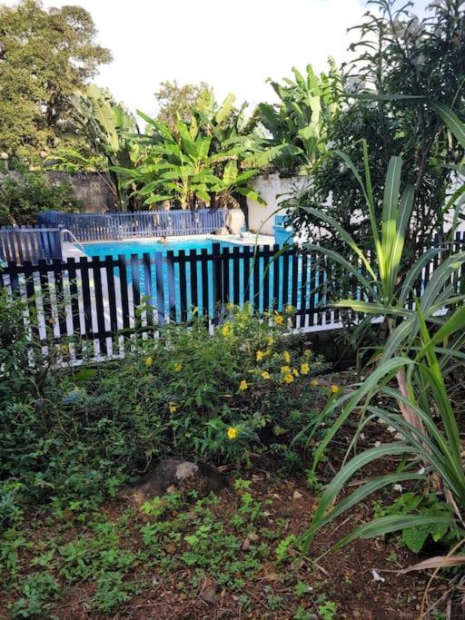 קריבי Villa Bleue מראה חיצוני תמונה